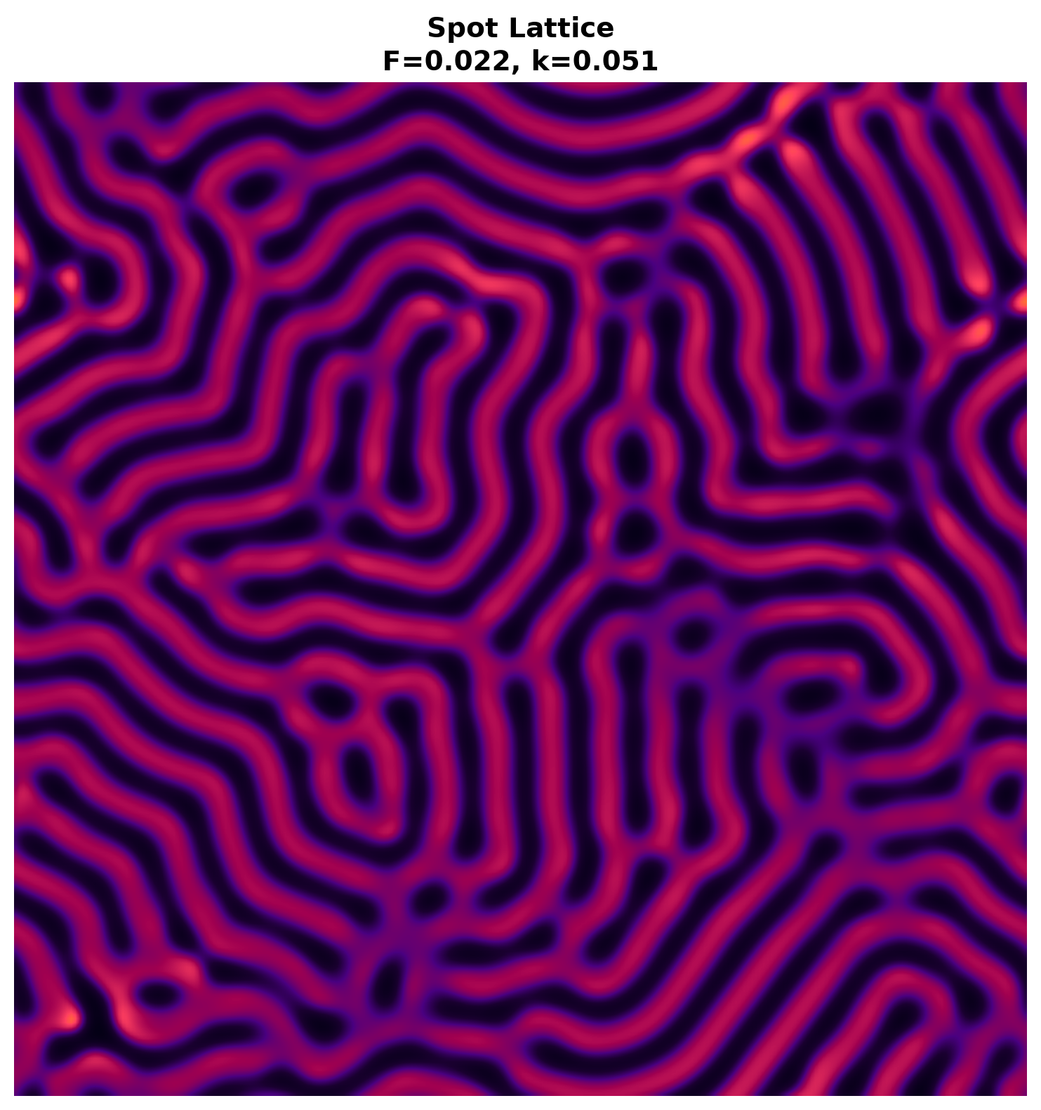 Spot Lattice